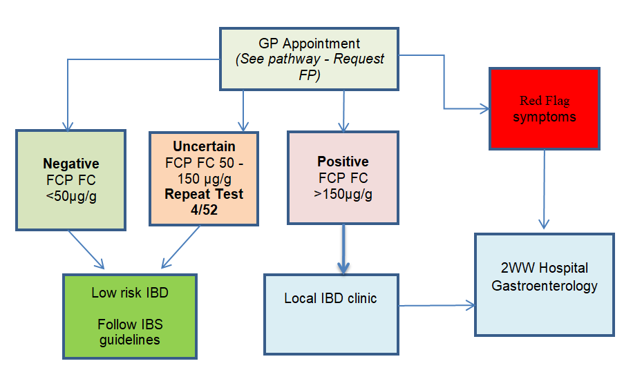 Primary Care Inflammatory Bowel Disease Diagnostic Pathway Faecal 