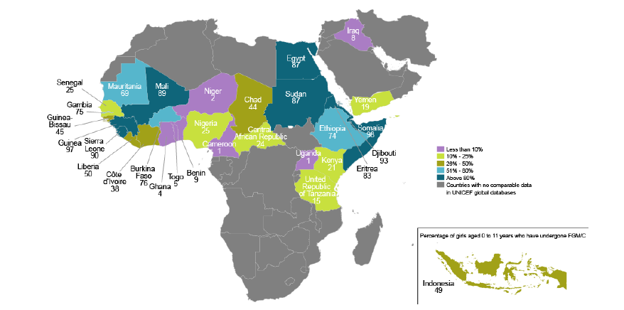 FGM Prevalence Map