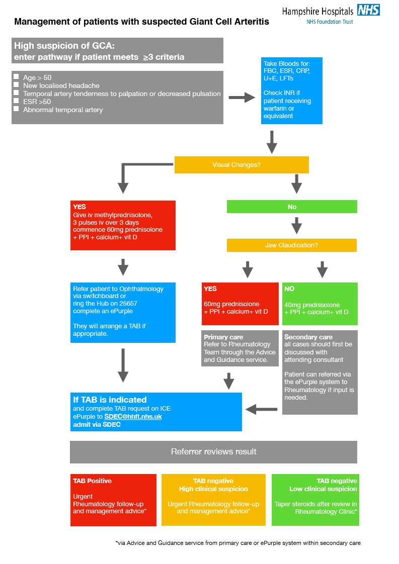 Giant Cell Arteritis (GCA) Pathway | GP Portal